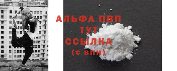 Альфа ПВП Магадан