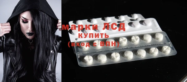 тгк Магас