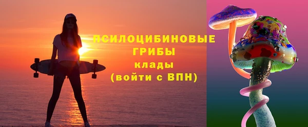 твердый Майский