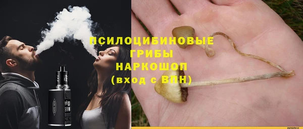 твердый Майский