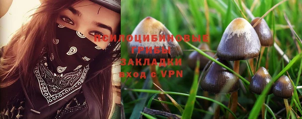 тгк Магас