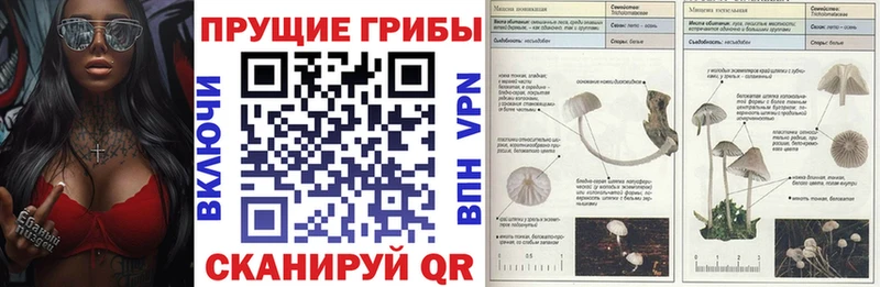 Псилоцибиновые грибы мухоморы  Купить где  Западная Двина 